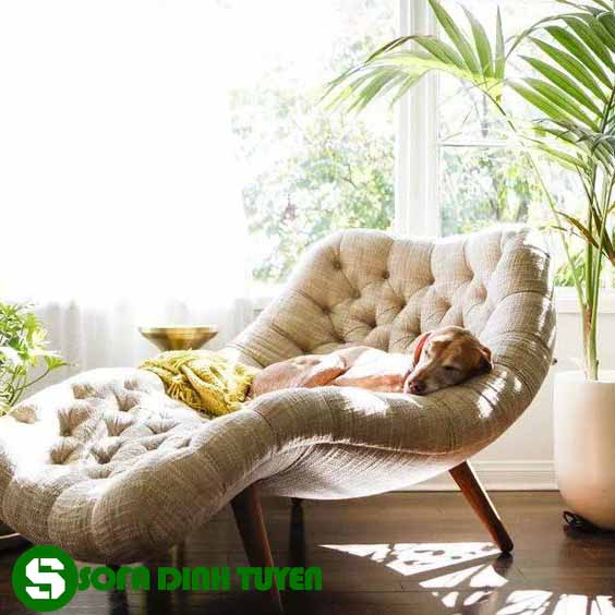 ghế sofa đọc sách relax