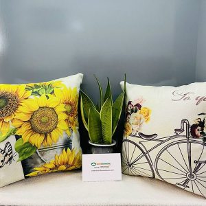 Gối Tựa Sofa Đẹp Mã 015