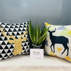 Gối Tựa Sofa Đẹp Mã 016