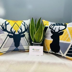 Gối Tựa Sofa Hiện Đại Mã 022