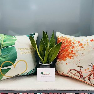 Gối Tựa Sofa Đẹp Mã 024