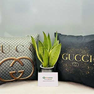 Gói Tựa Sofa Họa Tiết Gucci Mã 025