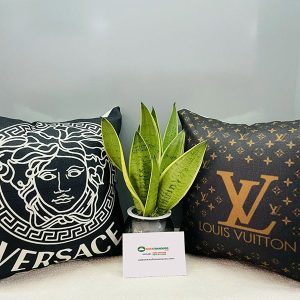 Gối Tựa Sofa Độc Đáo Mã 028