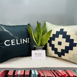 Gối Tựa Sofa Hiện Đại Mã 041