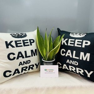 Gối Tựa Sofa Đẹp Mã 042