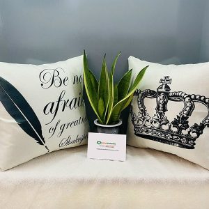 Gối Tựa Sofa Đẹp Mã 043