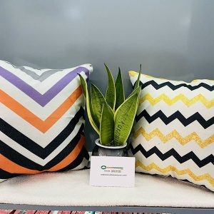 Gối Tựa Sofa Đẹp Mã 045