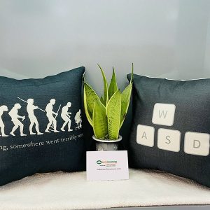 Gối Tựa Sofa Phong Cách Hiện Đại Mã 047